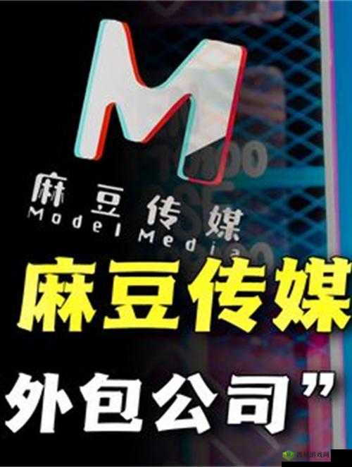 麻花传媒 CEO:引领行业创新的先锋人物