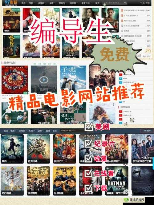 免费网站在线播放人数是实时吗:相关探讨