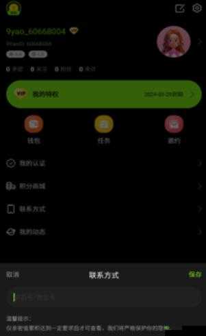 九幺高风险9.1免费版安装:谨慎操作指南