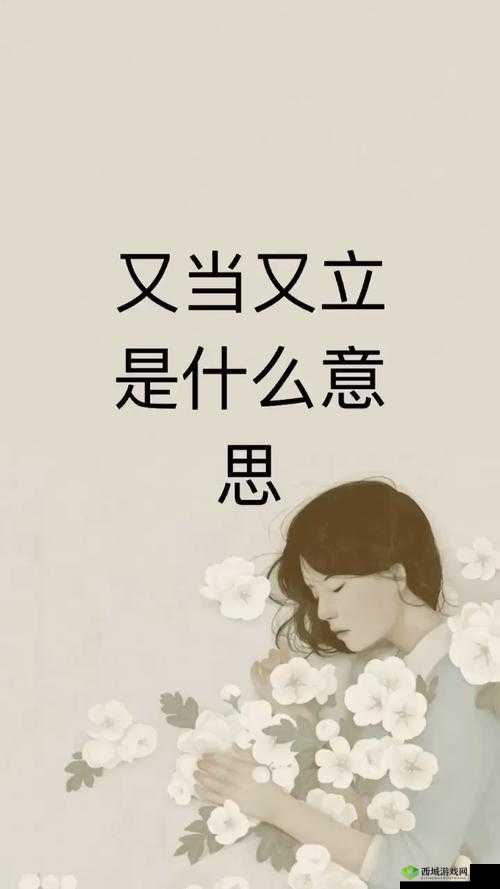 又当又立图片:言行不一的典型示例
