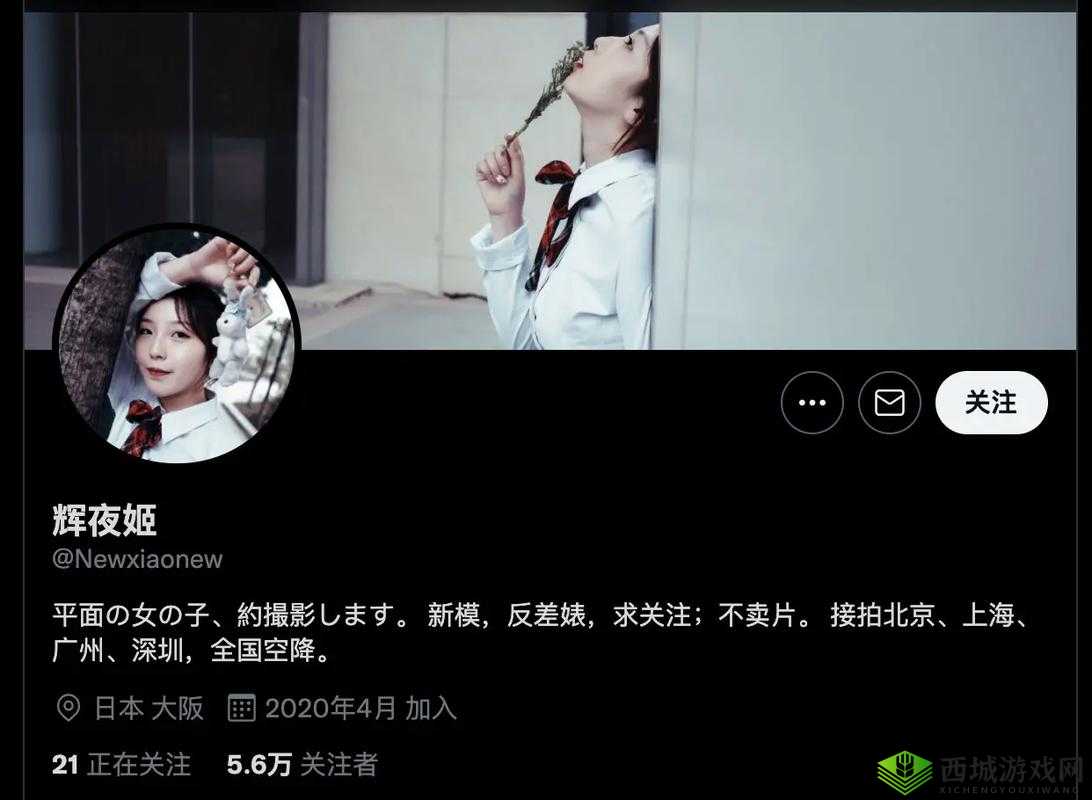 黑料反差婊荷兰:揭开其真面目