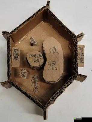 生物课老师拿自己做繁衍例子:讲述生命奥秘