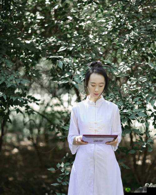丰年经继拇:传承与发展的奥秘