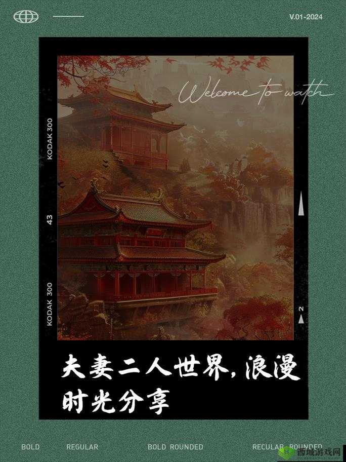 夫妻看哔哩哔哩视频:甜蜜相伴的美好时光