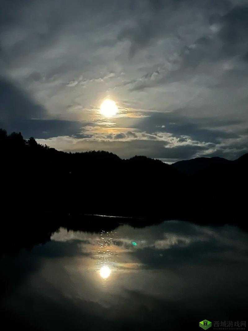 月色网：夜色下的独特魅力