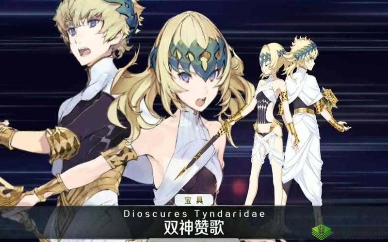 FGO新从者狄俄斯库里介绍