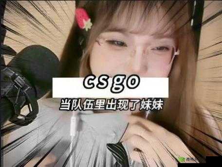 暴躁少女 CSGO 主播推荐:精彩游戏直播不容错过