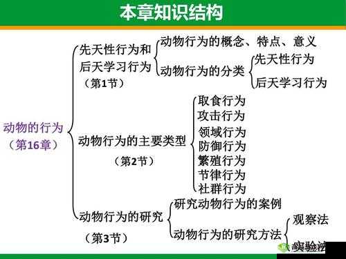 悠长假期中的动物好感度,作用、方法与意义深度解析