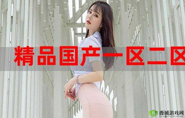 国精产品永久久到底是什么?有何独特之处和优势?一起来探究