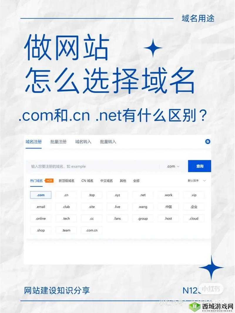 tai9com域名是什么?它有何特殊之处?快来一探究竟吧